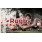 Rugby